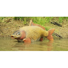 Wildcrete Carp